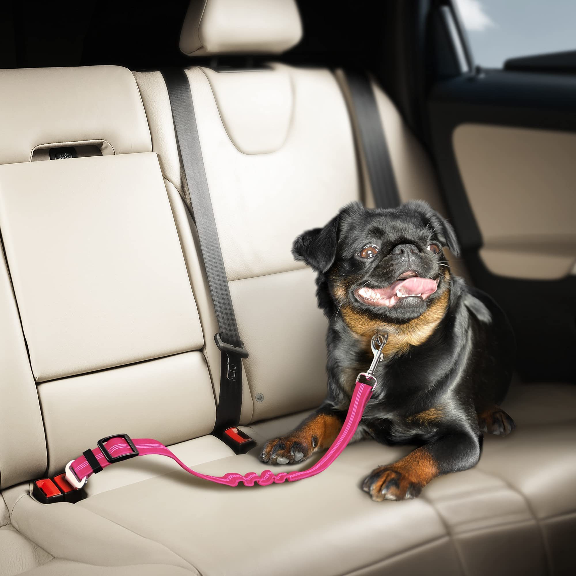 C&C Seat Belt for Dogs with Elastic Bungee Buffer | Car Travel Accessories for Dogs Adjustable, Elastic dog lead