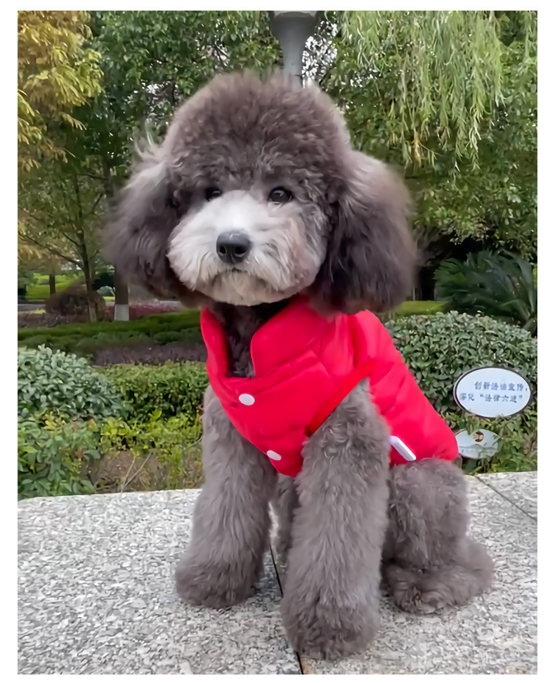 Pet Leather Jacket Winter Dog Clothes with Fur Collar Doggy Puppy Coat Small Pet Apparel