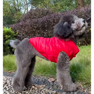 Pet Leather Jacket Winter Dog Clothes with Fur Collar Doggy Puppy Coat Small Pet Apparel