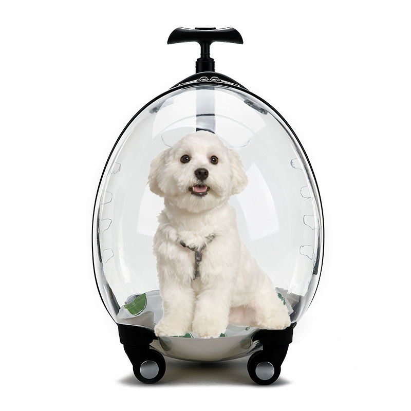 C&C Transparent breathable bubble pet travel bag cat carrier backpack pet stroller trolley  trolley pet carrier