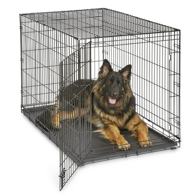 wholesale pet kennel custom 30 inch dog cages large metal kennels 42 inch steel sale stainless dog cage BestSuppliers