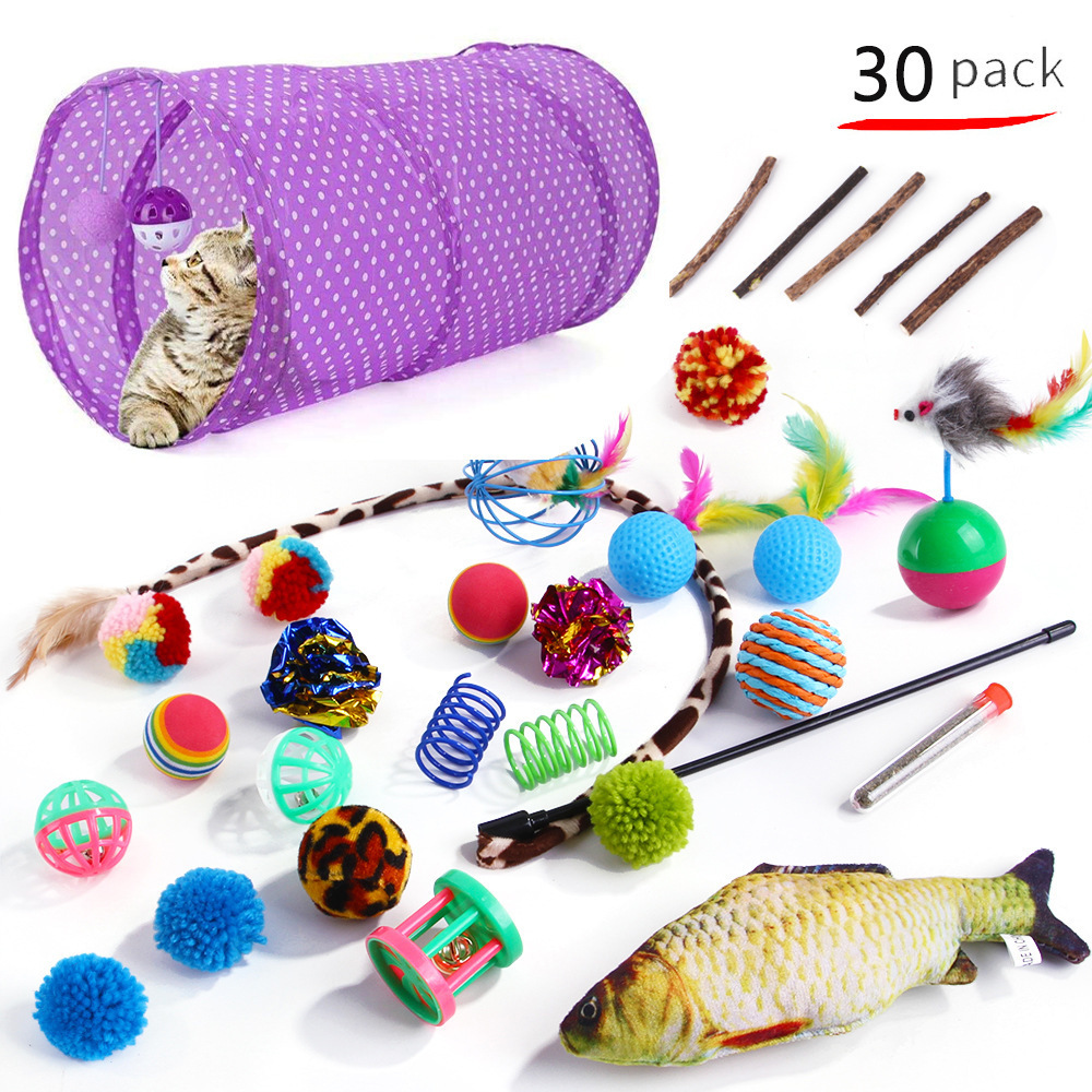 Hot Sale 21Pcs/Pack Retractable Cat Toy Wand Kitten Cat Pet Toy Wire Chaser Wand Teaser Feather Toys with Cat Tunnel