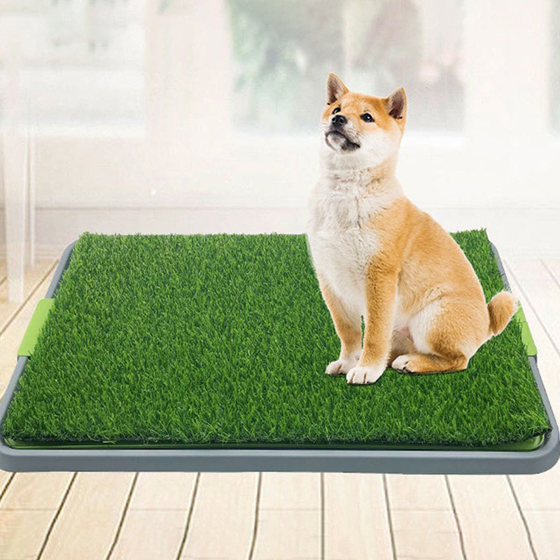 Open indoor outdoor Courtyard dog toilet Training dog eco-friendly cleaning pet potty High quality lawn pet toilet