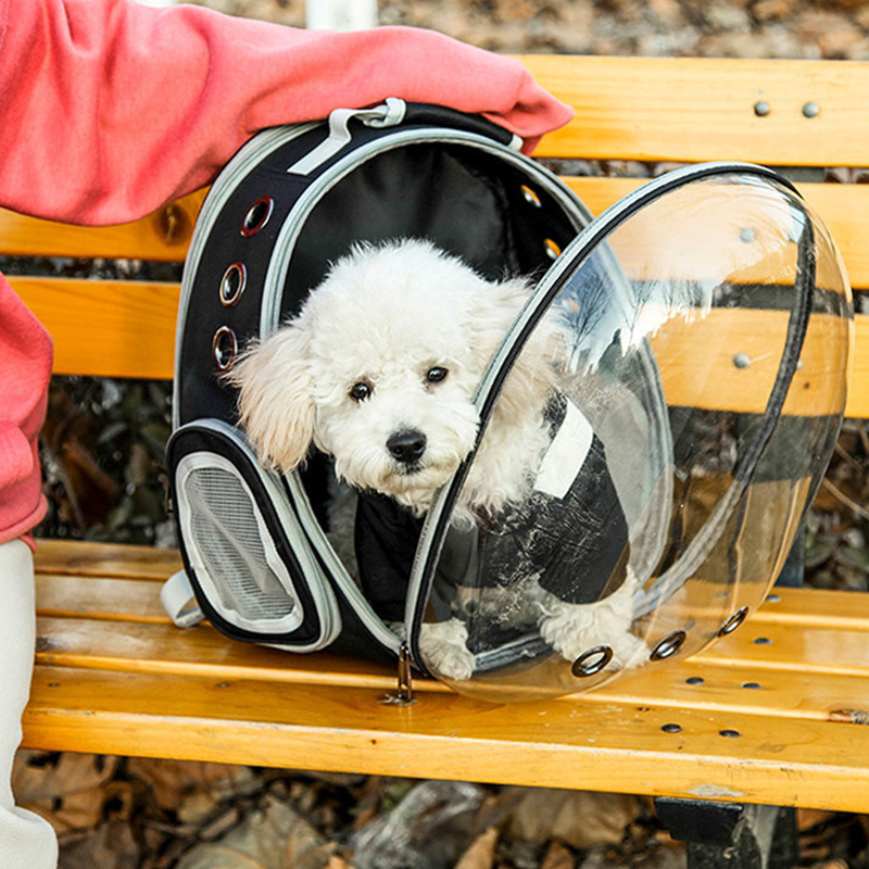 chonggongzi Pet Dropshipping Airline Approved Wholesale Transparent Space Capsule Travel Pet Cat Carrier Bag Backpack Bubble