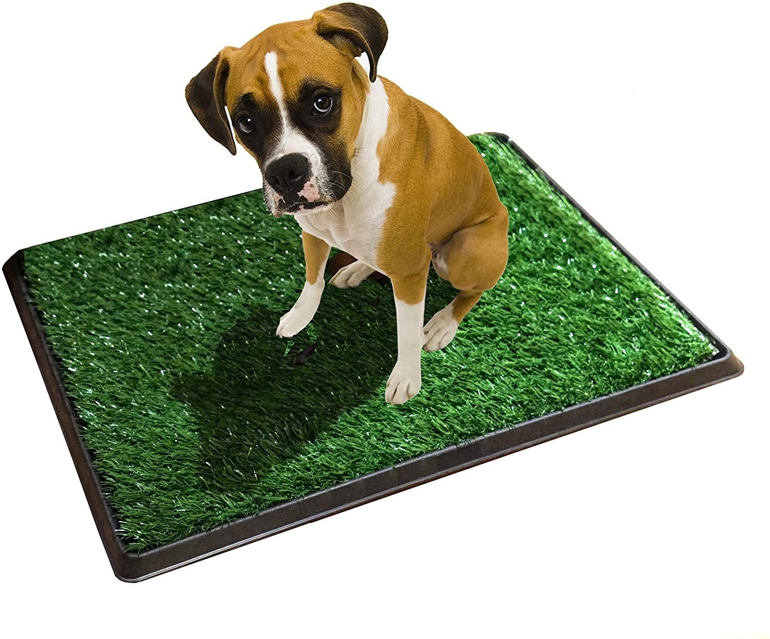 Grass Door and Bathroom Mat Pet Indoor Puppy Dog PET Potty Training Pee Pad with Mat Grass House Toilet Custom Sustainable Green