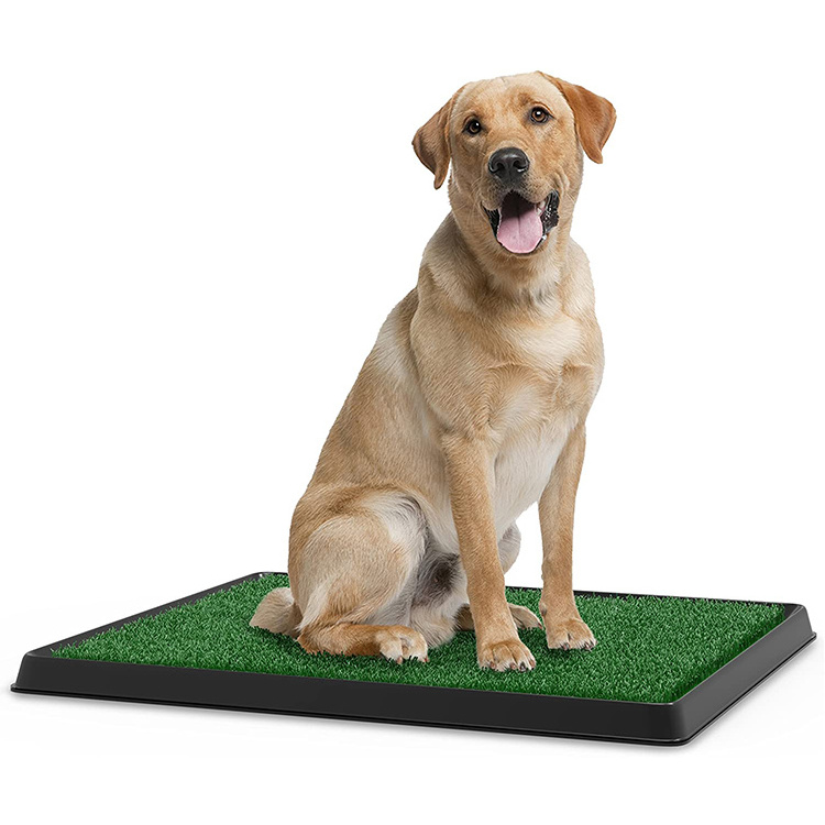 Artificial Grass Bathroom Mat for Puppies and Small Pets- Portable Potty Trainer Use/indoor Dog Toilet for Indoor and Outdoor