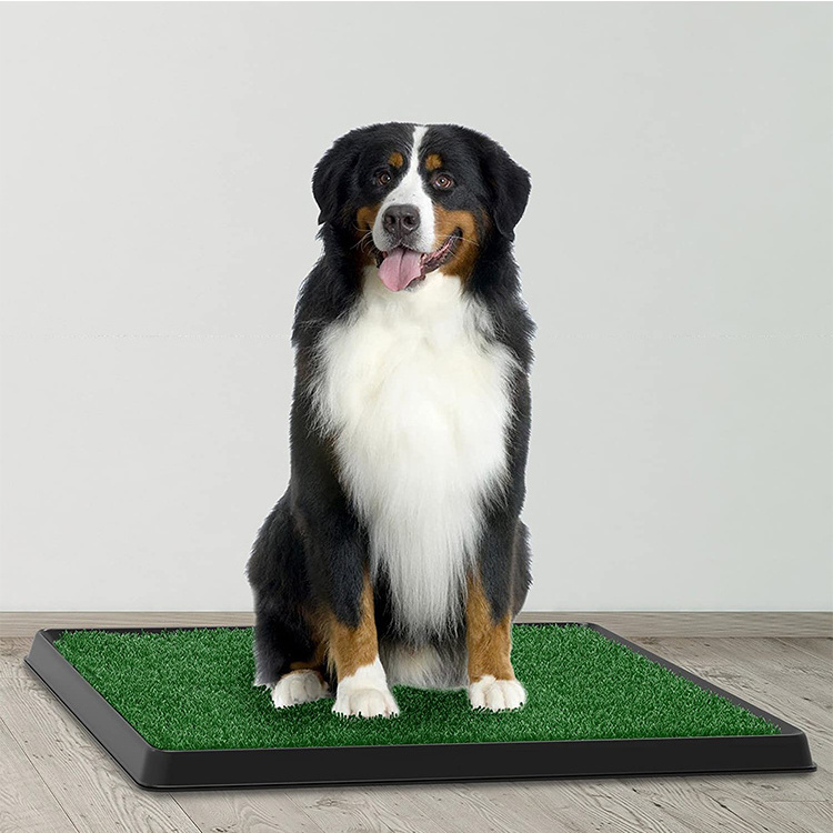 Artificial Grass Bathroom Mat for Puppies and Small Pets- Portable Potty Trainer Use/indoor Dog Toilet for Indoor and Outdoor