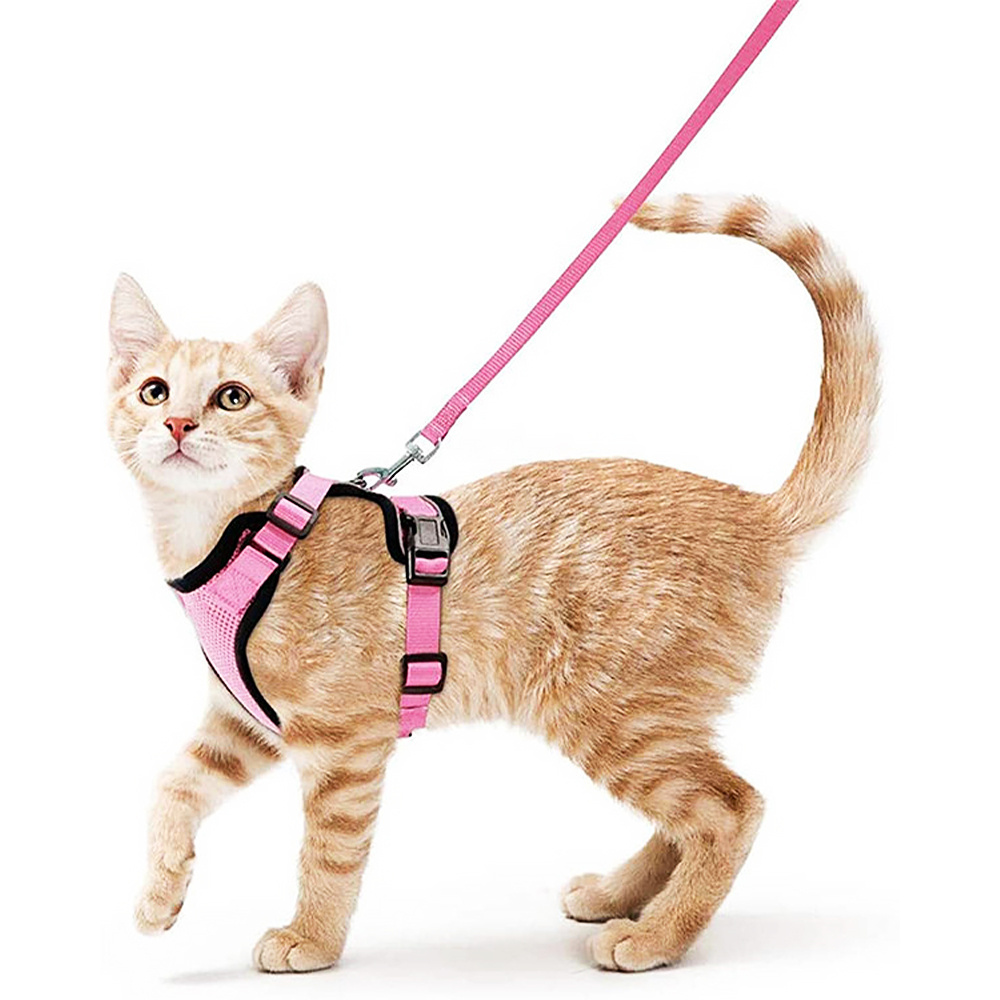 Wholesale Breathable Escape Proof Safe Adjustable Kitten Cat Harness and Leash Set for Walking