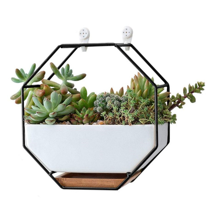 Modern Wall Planter Metal Wire Octagon Design Wall Mounted Shelves with Ceramic Flower Pot wooden planter wall shelf