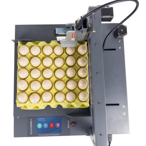 Top selling tij expiry date printing machine for egg lot number batch coding machine for date printing