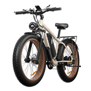 Best Price 48V 1000W 26" 4.0 Inch Fat Tire Ebike Best Electric Mountain Bike