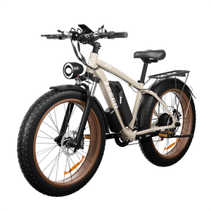 26 Inch 48V 1000W Electric Bike Kit 500W Fat Tire Ebike Beach Cruiser Electric Bicycle