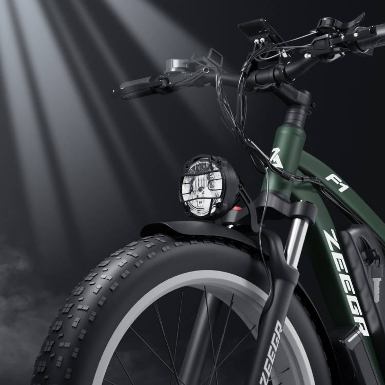 Electric Mountain Bicycle Battery Electric Bicycle Off-road Fat Tire Electric Bike 1000w Ebike