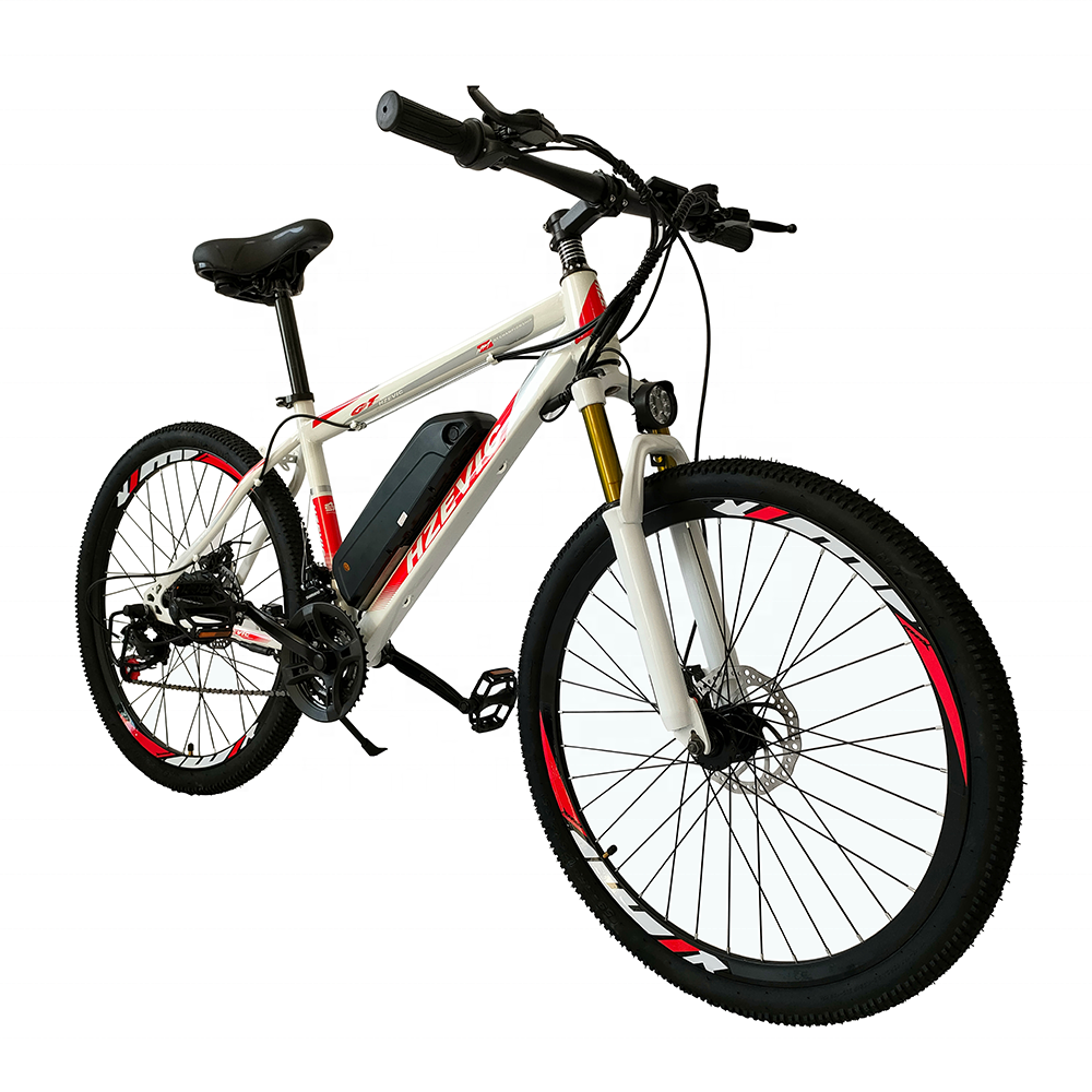 ZEEGR 2023 NEW electric bike	velo electrique electric mountain bike electric cycles 36V48V 250W350W 8AH10AH13AH electric bike