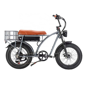 Custom high quality multi-function 20 inch 7 speed fat tire long range electric cargo bike 250W 48V family use ebike for adults