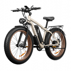 Factory Supply High Performance 26 Inch Ebike 48V 1000W Motor Zeegr Electric Bicycle Fat Tire Mountain Electric Bike