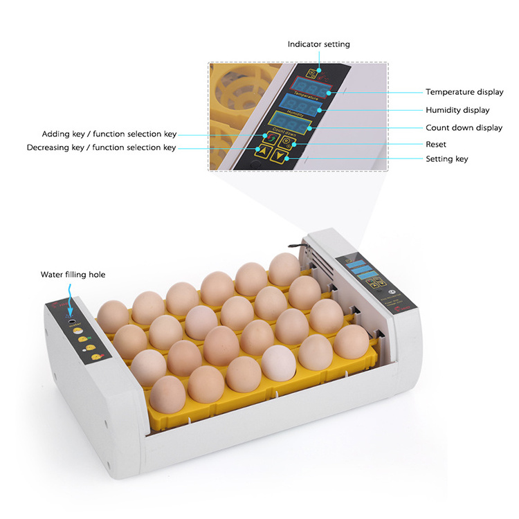 High Quality New Digital Automatic Hatchery Machine Parrot Eggs Incubators