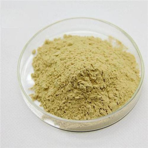 Hot sale 98% Soya Lecithin / Soybean Phosphatidylcholine(PC)