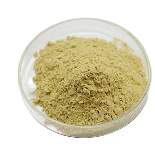 Hot sale 98% Soya Lecithin / Soybean Phosphatidylcholine(PC)