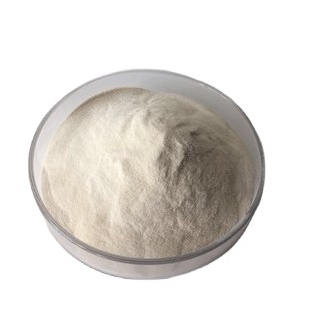 Supply High Quality Food Additives Gelatin Gum Base