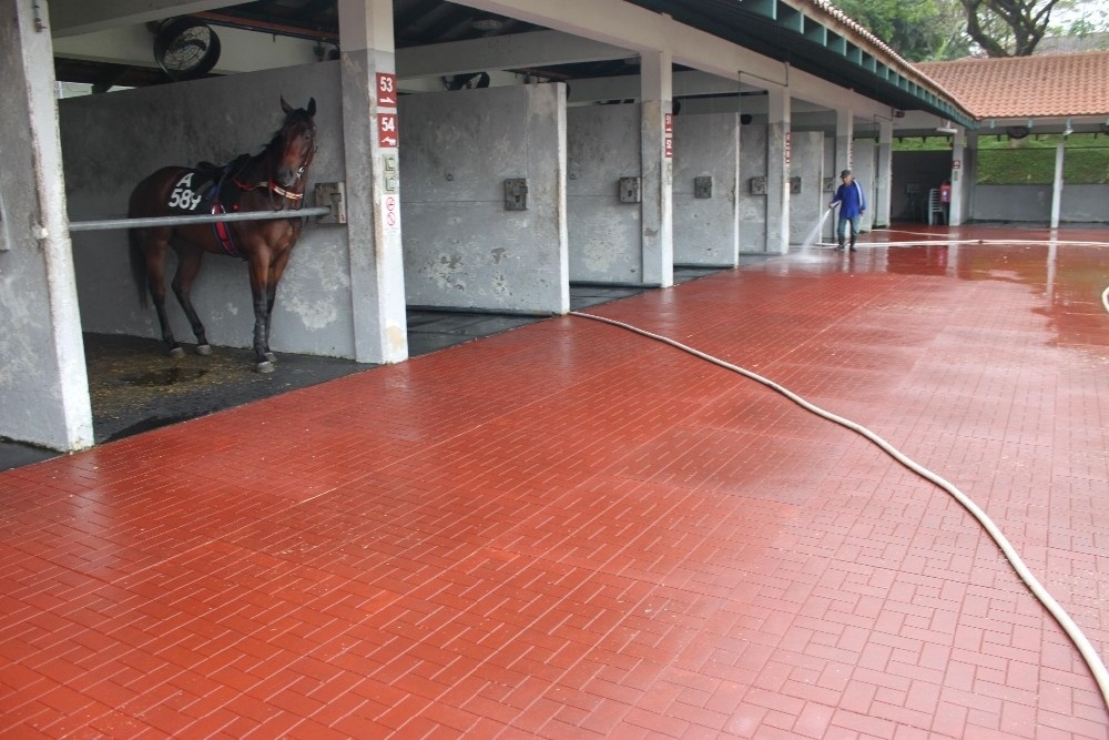 New Outdoor recycled rubber mats for horse stalls 1mx1m Rubber mats