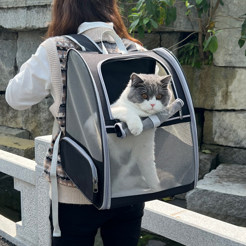 RUGGED PAWS Custom Innovative Traveler Bubble Backpack Black Polyester Pet Carriers For Cats And Dogs