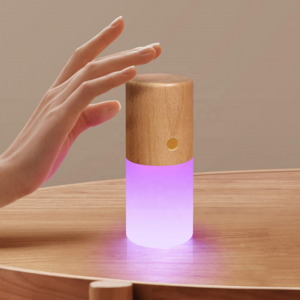 RGB Rechargeable Table Lamp LED Light Desk Bedside Floor Home Decoration Luxury Retro Real Wood Type C Organic Glass 800mAh