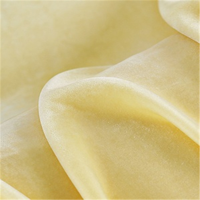 Ready Goods Great Material Soft Feeling Material Nice Colors Available Silk Velvet Fabric for Home Textile Garment