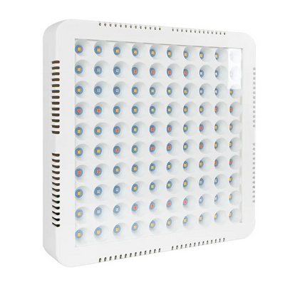 COB 300W LED Grow Light Sunshine Full Spectrum Grow Light For Greenhouse