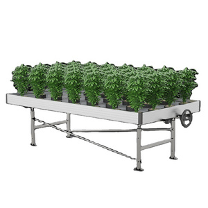 2024 Rolling Bench Grow Table 4x8 Grow Table Rolling Benches Grow Tables Greenhouse for Sale