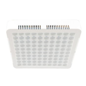 2023 COB 300W LED Grow Light Sunshine Full Spectrum Grow Light for Greenhouse