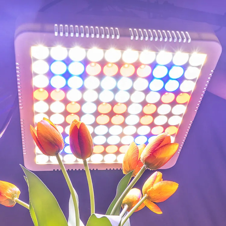 COB 300W LED Grow Light Sunshine Full Spectrum Grow Light For Greenhouse