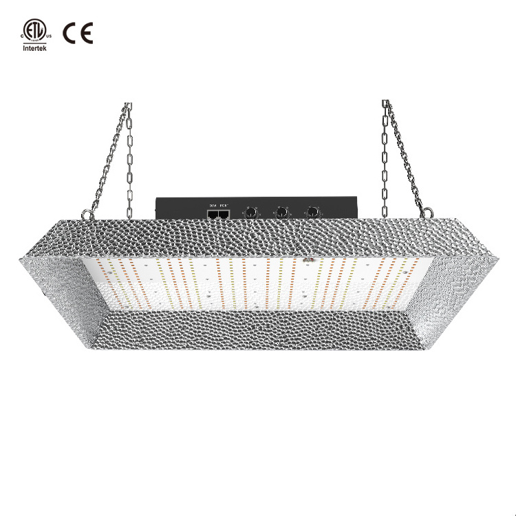 2023 New Trend Dimmable 100W Lm301b Led Plant Grow Light For Indoor Garden