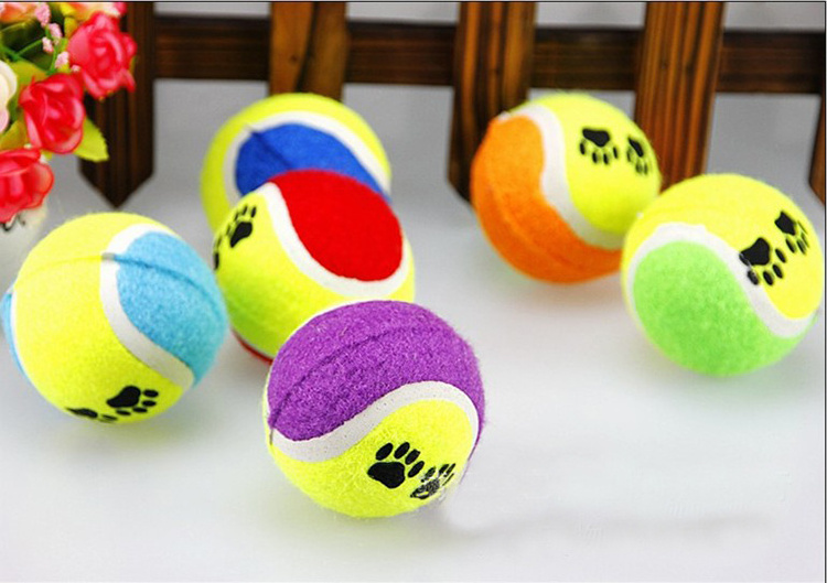 Pet Manufacturers Designer Puppy Dog Pet Toy Ball Sports Soccer Fetch Interactive Dog Chew Toys Ball