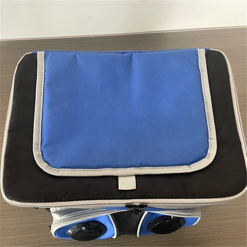 Factory direct waterproof insulated cooler bag with bluetooth speaker outdoor camping travel picnic bag