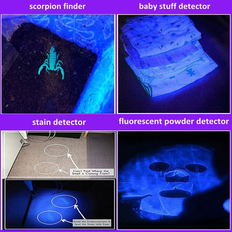 Multi function USB Rechargeable UV Led Flashlight 365nm Pet Dog Cat Urine Detector Power Bank Type C