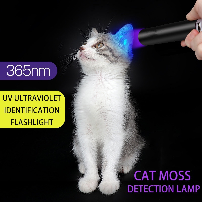 Mini USB Rechargeable UV Light Led Flashlight Waterproof Aluminum Alloy 365NM Pet Dog Cat Urine Money UV Detector Purple Light