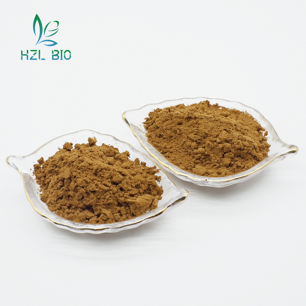 Hot Selling Chlorogenic Acid Eucommia Ulmoides Extract Natural Eucommia Ulmoides Leaf Bark Extract