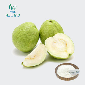 Hot Selling Customized Rich Vitamins Natural White Guava Fruit Extract Powder