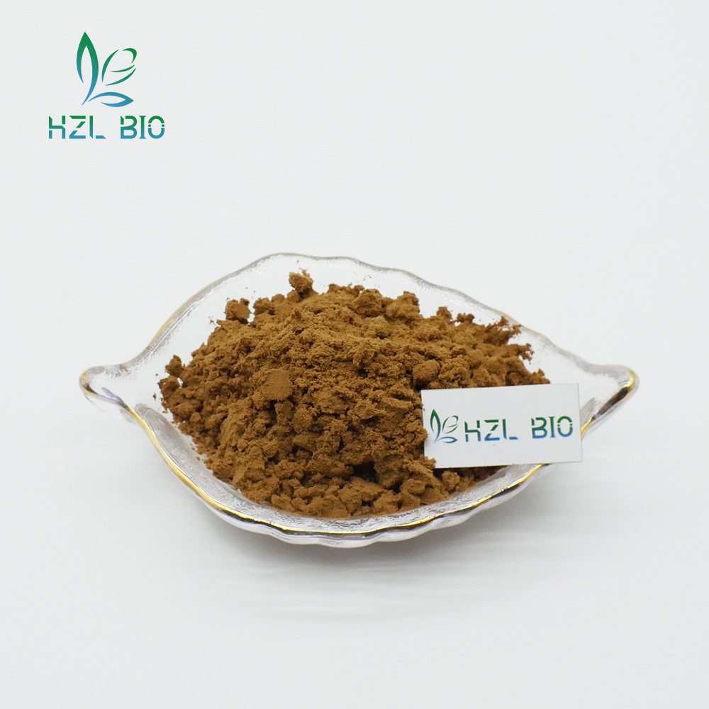 Hot Selling Chlorogenic Acid Eucommia Ulmoides Extract Natural Eucommia Ulmoides Leaf Bark Extract