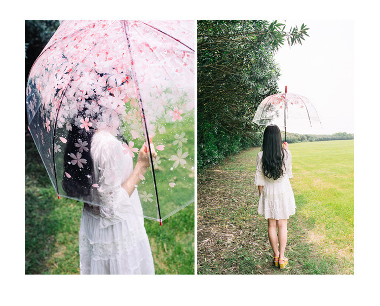 Sakura umbrella long handle Korean retro candy transparent umbrella small fresh Apollo Princess umbrella