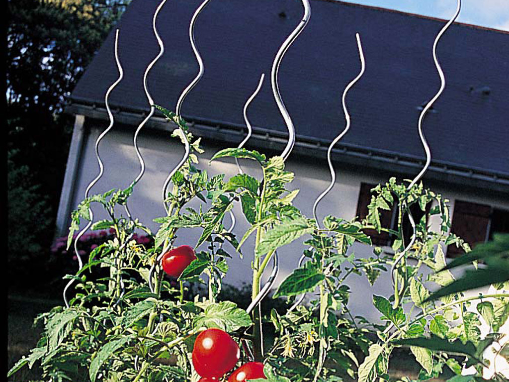 High Quality Garden Plant Trellis Tomato Spiral Support Plant Growing Tomato Spiral Stakes Metal Wire