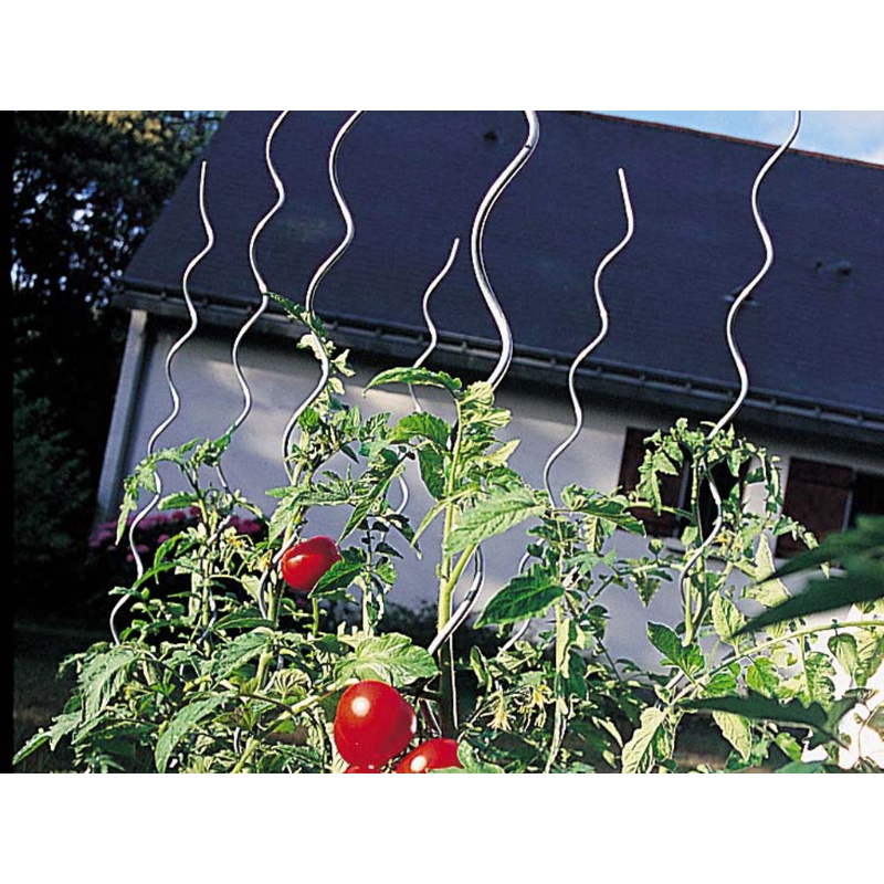 High Quality Garden Plant Trellis Tomato Spiral Support Plant Growing Tomato Spiral Stakes Metal Wire