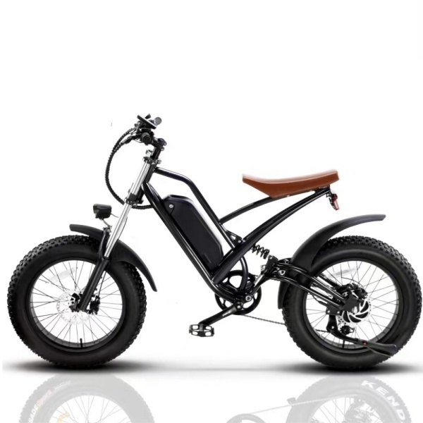 Fast Shipping High Power 20'' e-bike 750w 1000w Fat Tire Snow Electric Mountain bicycle banana seat ebike