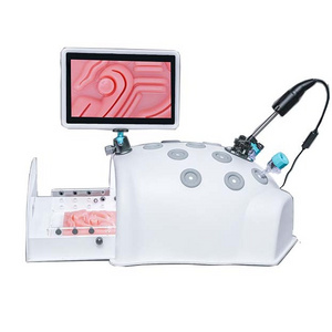 Laparoscopic Simulators Training Box for Laparoscopy Endo Trainer with Endoscope Camera