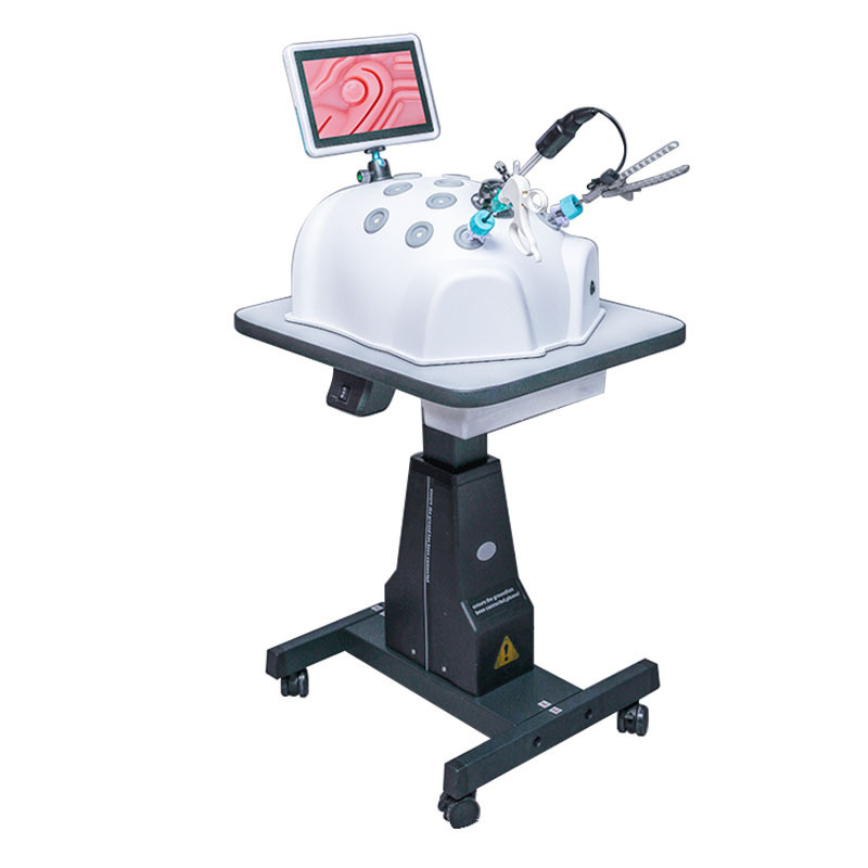 laparoscopic training box endoscopy training simulator trainer box simuladores laparoscopicos laprocopy simulator