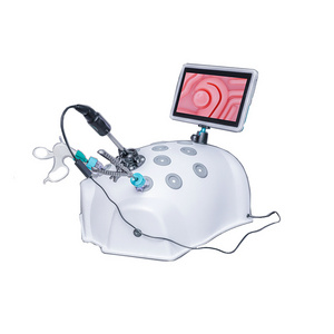 laparoscopic training trainer box simulator laparoscopy laproscopic ...