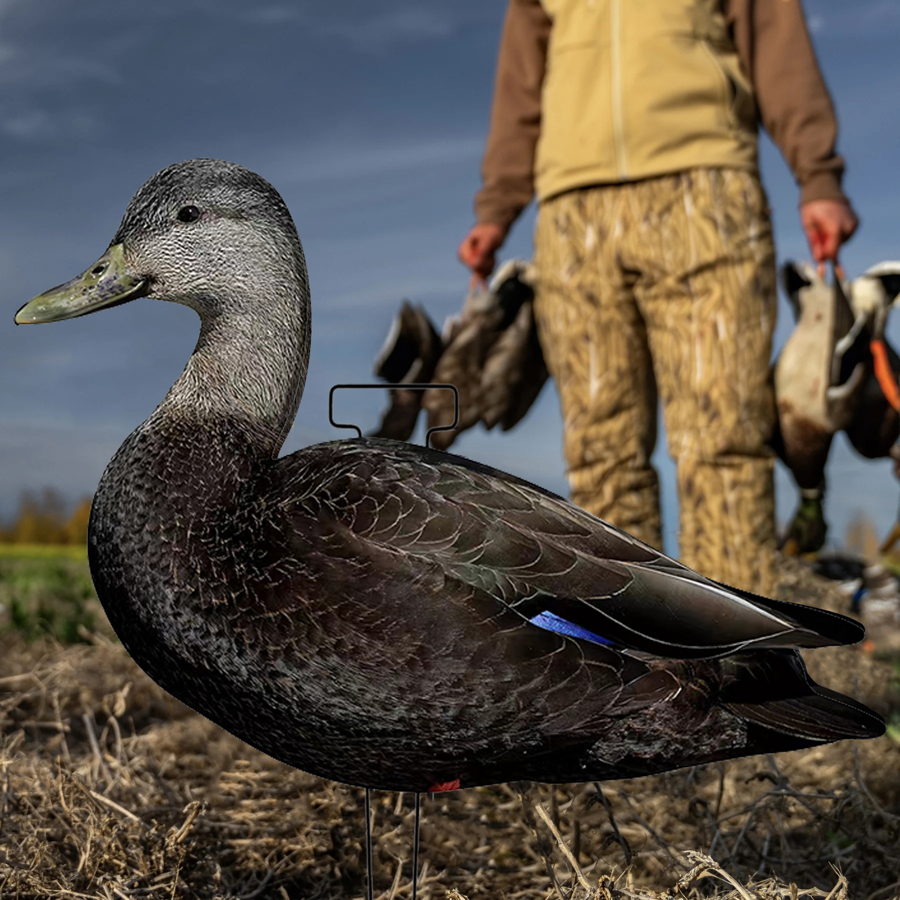 Customized Lifelike Waterproof Plastic Lifelike Anti-scratch Fully Flocked Black Duck Silhouette Decoys Hunting Duck Decoys