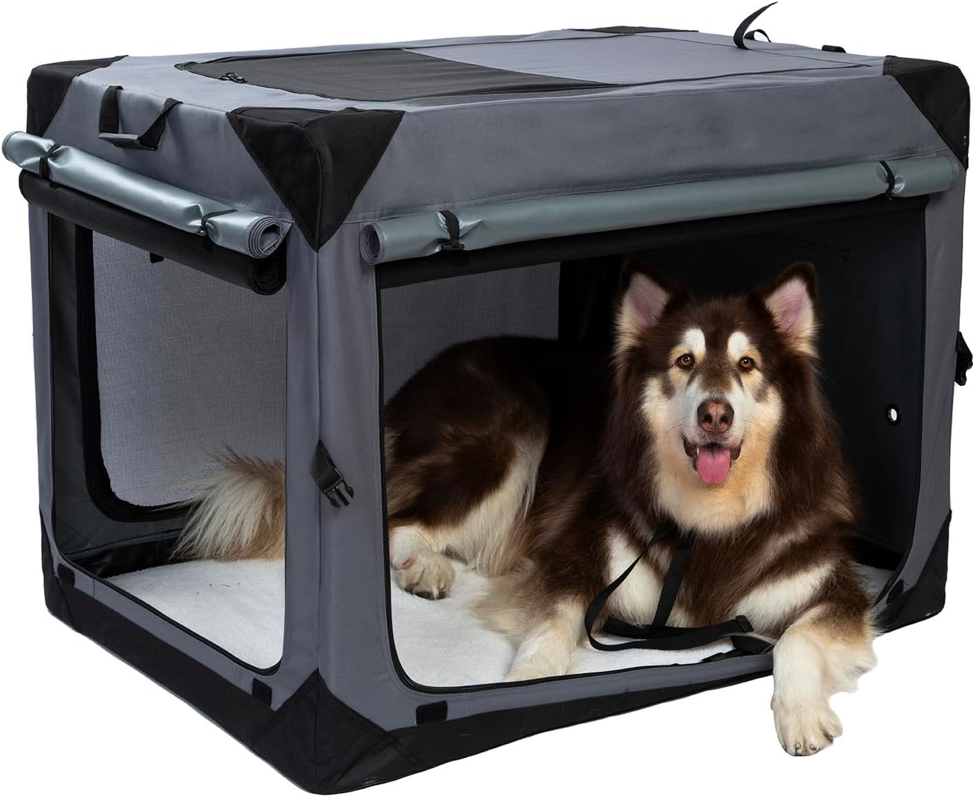 Travel Dog Crate 42 Inch Collapsible Dog Crate with Curtains 4 Door Curtains Pet Carrier for Airflow and Calm