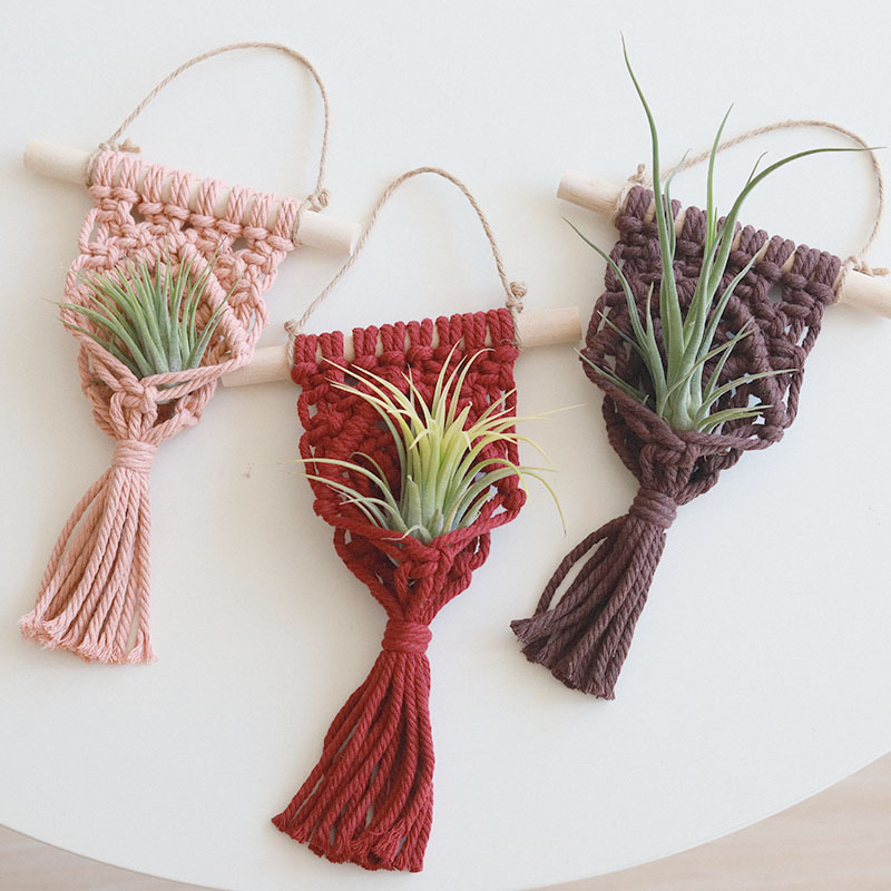 Mini Macrame Plant Hangers Indoor Wall Hanging Planter Basket for Home Decoration